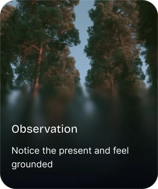 Observation practice