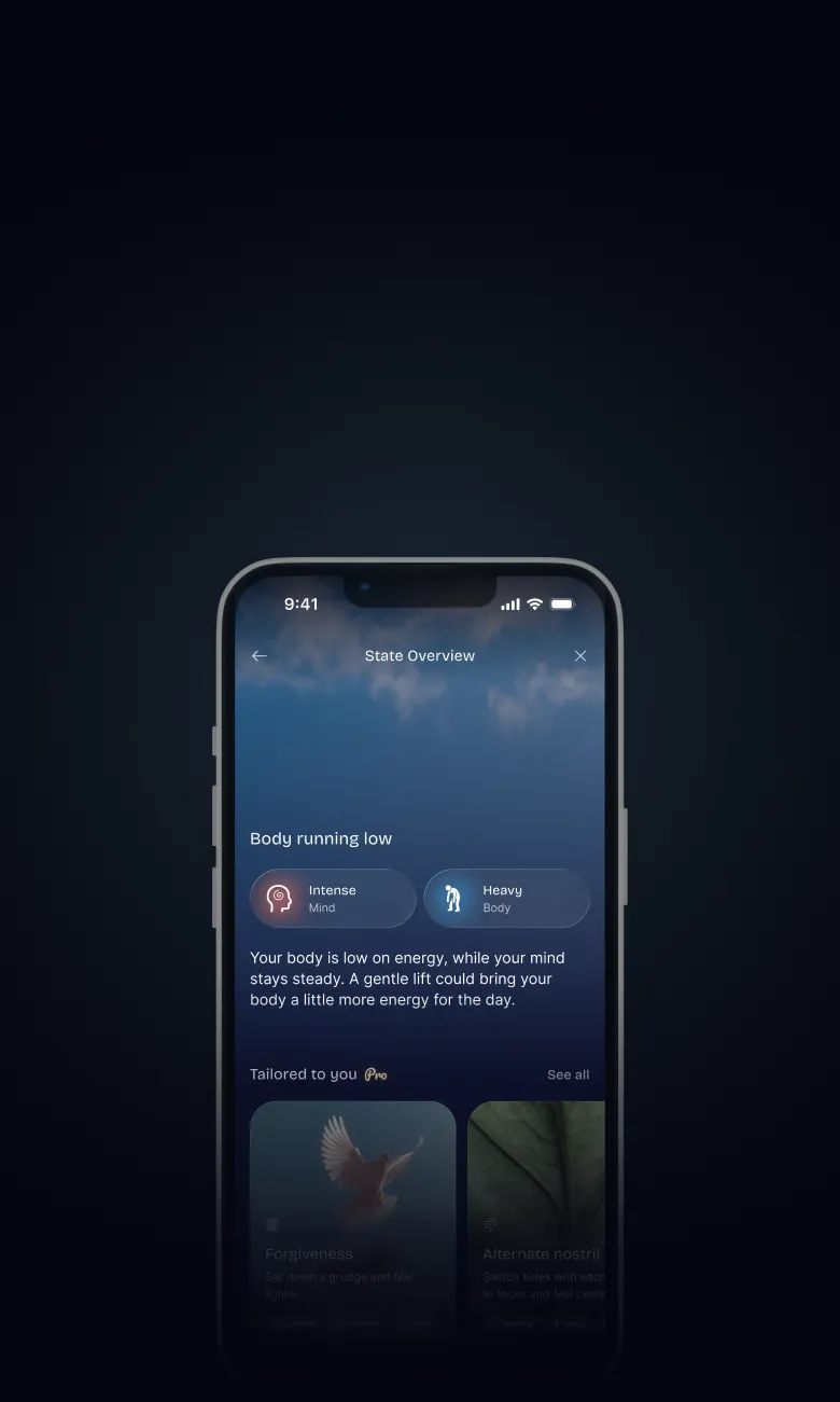 State Check-in screen in the Buba app
